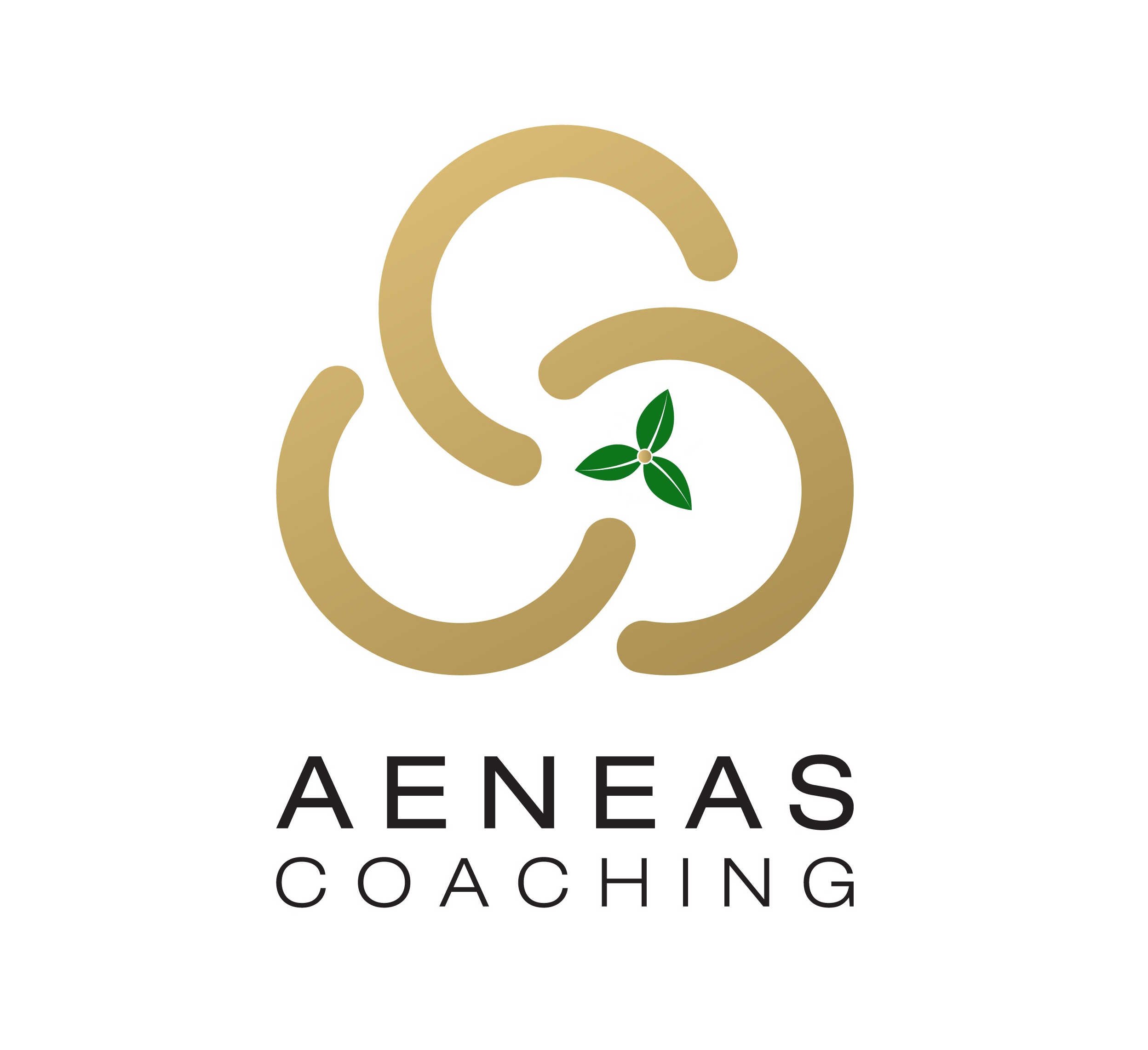 Aeneas Coaching